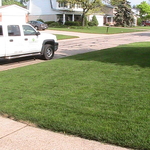 After 1st mow