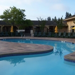 Dynamic Pool Remodel 1