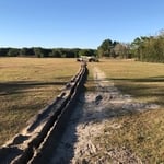Cow pastor revamp system