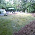 Back yard