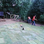 Sod Instillation