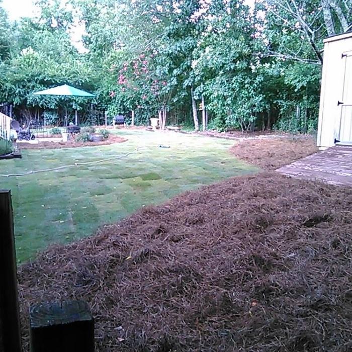 Sod Instillation