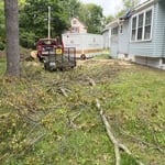 Storm Cleanup