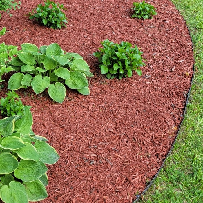 Landscape Design