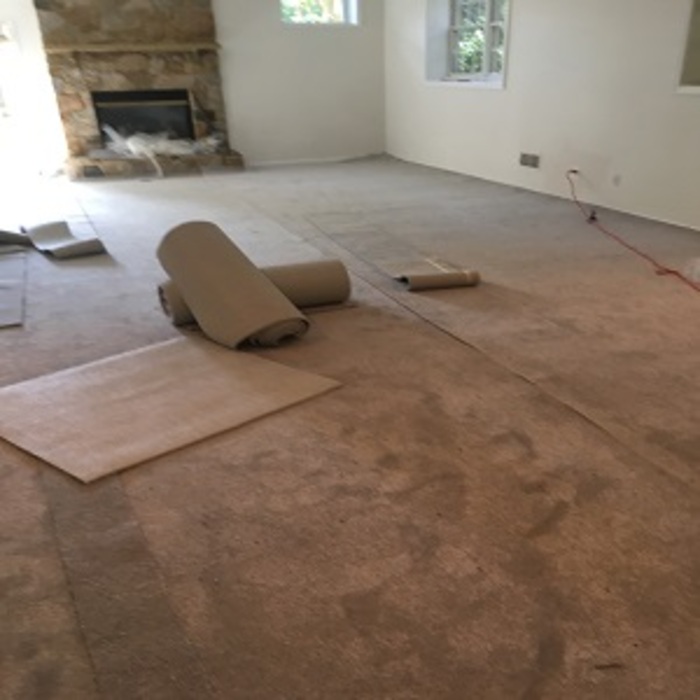 Project