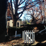 Crane service tree job