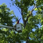 Climber tying his line
