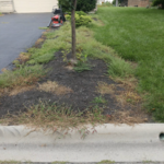 Upper Arlington - Clean Out & Mulch