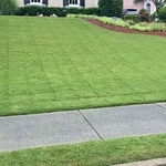 A very nice cut