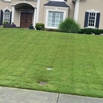 A very nice cut