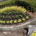 Flower installation