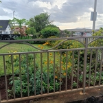 Gate and Fence Pictures