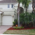 New Plants and Mulch