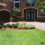 New Plants and Mulch
