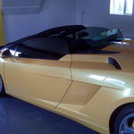 2009 Lamborghini Delgado