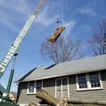 Timberland Tree Service