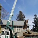 Timberland Tree Service