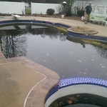 Pool Renovation