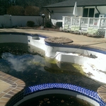 Pool Renovation