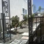 custom arbor