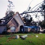 Hurricane clean up since 1995
