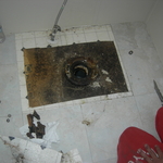 Bathroom Demo