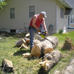 Removal of Downed Tree