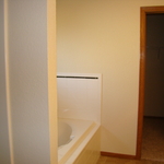 Bathroom Before