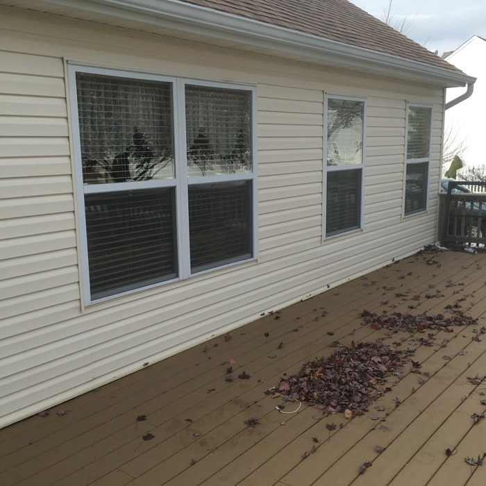 Windoe replacement