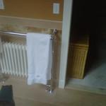 forced hot water radiator/towel warmer