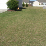 C&J Services LLC foreclosure property