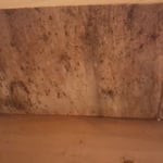 Mold