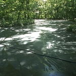 Driveway in the cleaning process