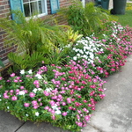 LANDSCAPING JOB