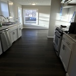 OUR WORK
