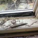 rotted wood on sill of window frame