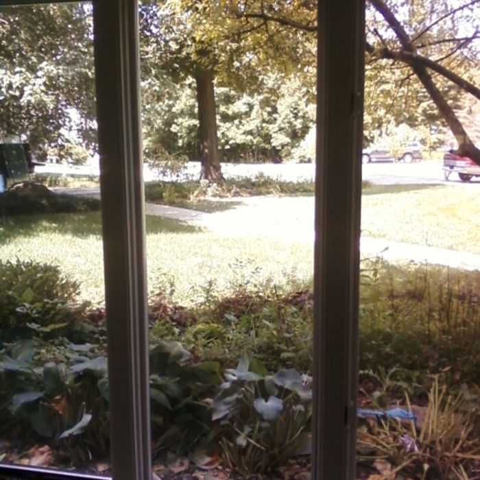 double pane window replacement