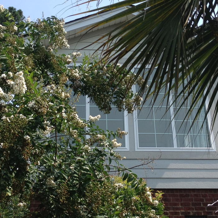 this was a screen porch