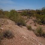 Wrong way desert scape