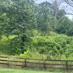Shively hill job
