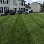 The best crew in landscap