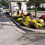 The best crew in landscap