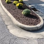 The best crew in landscap