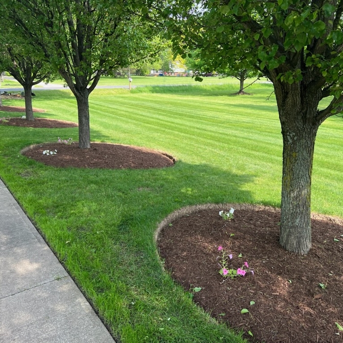 The best crew in landscap