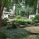 Precious plants to be saved