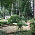 Precious plants to be saved