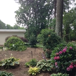 Precious plants to be saved