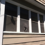 Windows and screens in need of replacement