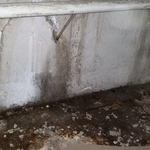 Crawl Space