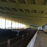 Feed Lot